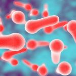 Scoperte tossine in grado di uccidere batteri e funghi: nuove prospettive per la lotta alle infezioni