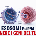Esosomi con siRNA diretti contro geni tumorali nel tumore del pancreas e nella ricerca preclinica sul carcinoma prostatico