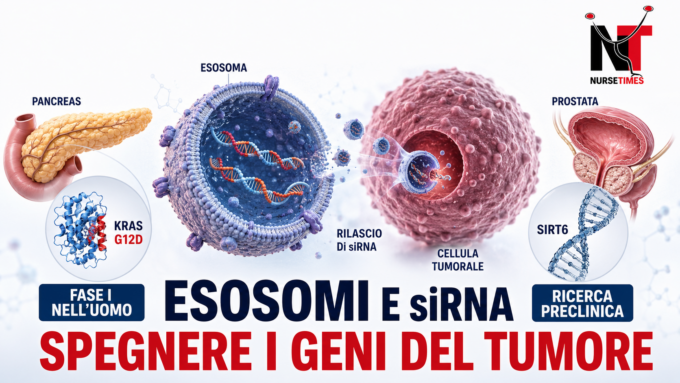 Esosomi con siRNA diretti contro geni tumorali nel tumore del pancreas e nella ricerca preclinica sul carcinoma prostatico